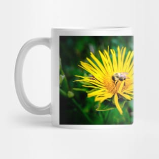 Bee On Elecampane Flower 3 Mug